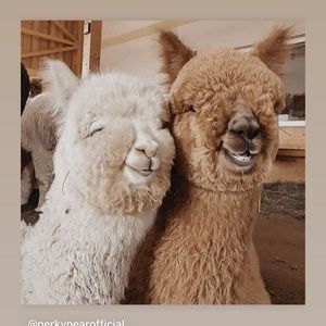 Meet your Posher, Stacey